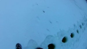 КИТАЙСКИЙ ШУРУПОВЕРТ ДЛЯ ЛЕДОБУРА.ОБЗОР