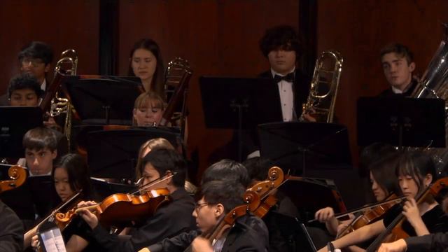 Clair de lune | Claude Debussy, arr Ardizzoia | High School Symphony Orchestra - REGION 26 2023 смотреть онлайн