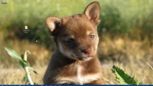 Как скачать, распаковать, портативную версию программы