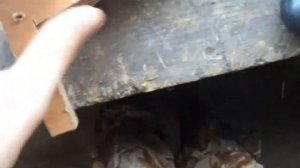 Спусковой механизм для арбалета из дерева.