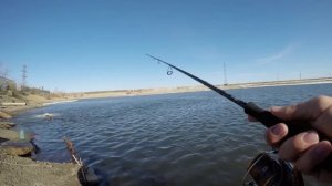 Тест JS Company Nixx DX S802ML