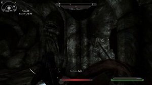 Skyrim SE / Dustman's Cairn / ft.  Sofia