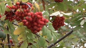 SONY HXR-NX100 TESTS