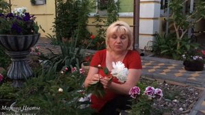 Пион - Обрывать ли боковые бутоны ?