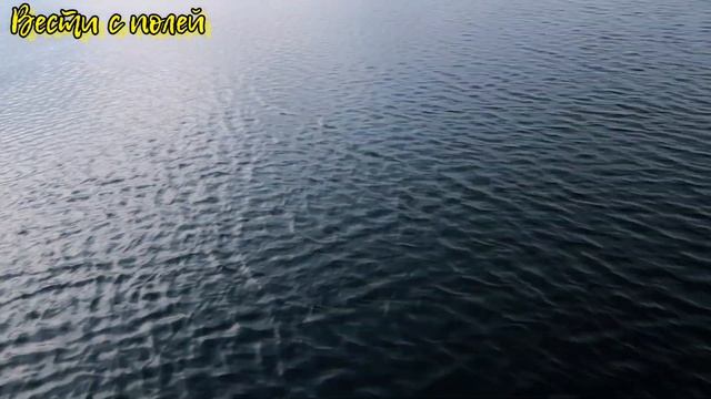 Vlog#278 На Байкале(Усть-Баргузин), ЗАСЕЛЕНИЕ в номер и Рыбалка. часть 2 смотреть онлайн