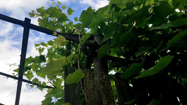 Кого нельзя брать в крестные родители: приметы о таинстве крещения смотреть онлайн