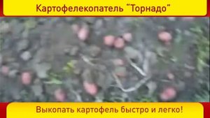 Картофелекопатель Торнадика (Торнадо)