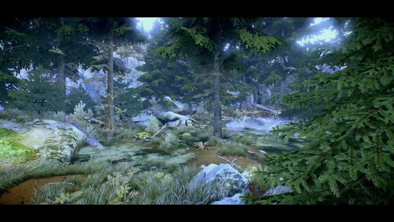 The Forest