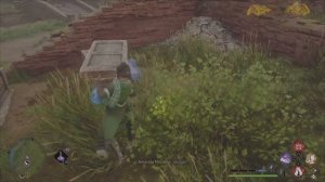 Hogwarts Legacy : Испытание Мерлина Побережье Пойдсир 2.