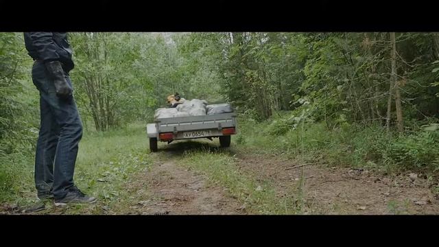 Чистая Вуокса в Север Мшинского болота июнь 2018 смотреть онлайн