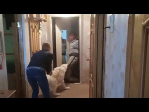 Тест №30. САО охрана квартиры.