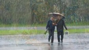 Музыка дождя - Бисер Киров