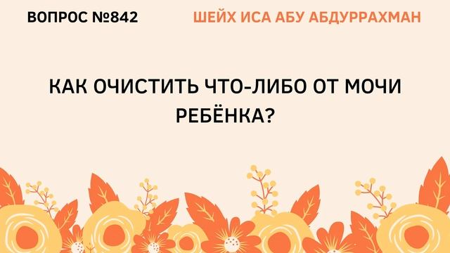 842. Как очистить что-либо от мочи ребенка? || Иса Абу Абдуррахман смотреть онлайн