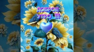 доброе утро