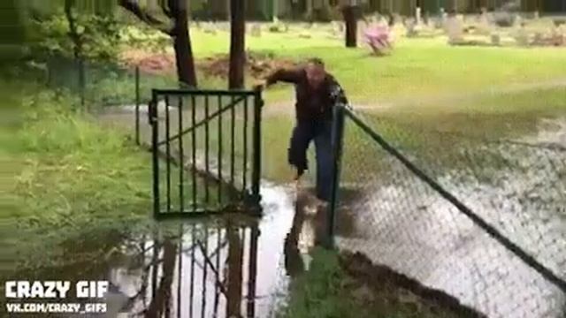 Крези гиф приколы смешные смотреть онлайн