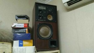 Ремонт по быстрому 35 АС 201 «Radiotehnika»