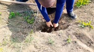 Металлоискатель Пират Смотри какие находки✔️Коп с металлоискателем пират?