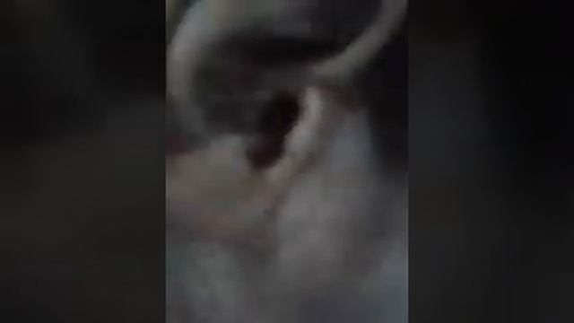 Настольная игра своими руками. смотреть онлайн