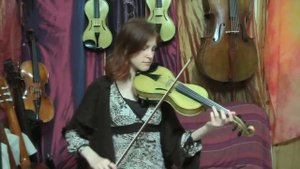 5 string violin - violorama custom model