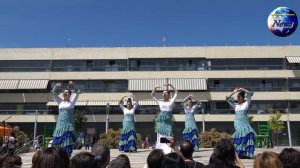 Alma Flamenca  Adagio y Bulería  Triana Puente y Aparte