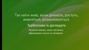 Заняття з розвитку мовлення з елементами грамоти "Кімнатні квіти" (Коценко О.С)