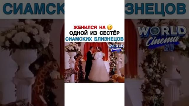 Женился на одной из сестер сиамских близнецов смотреть онлайн
