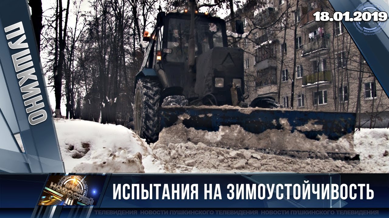 Испытания на зимоустойчивость