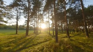 Darwin FoldApe 4 / GoPro 10