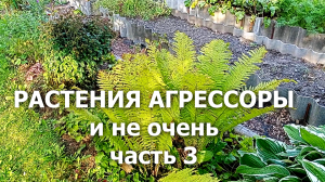 Растения агрессоры, часть 3