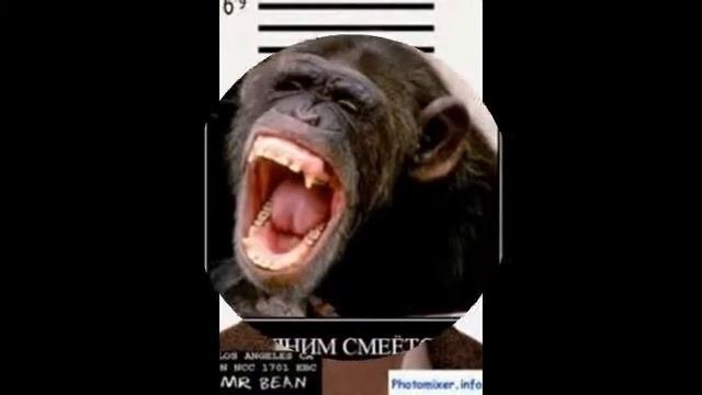 СМЕШНЫЕ ФОТКИ! #1