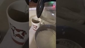 Обзор и рецепт: цикорий с чайной масалой