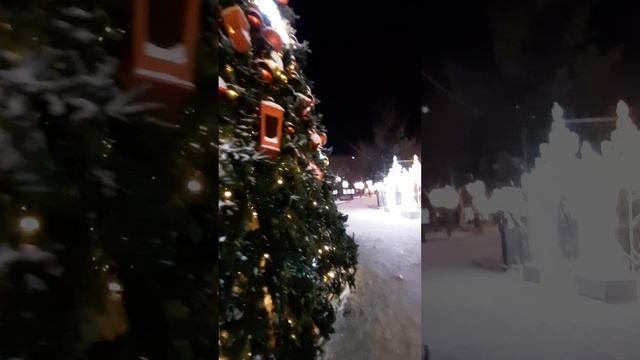 ? Главная елка Новосибирска #shorts #short