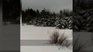 Салми Карелия - Видео заказчика о своем доме от Эко Сити