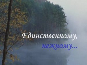 К единственному нежному.