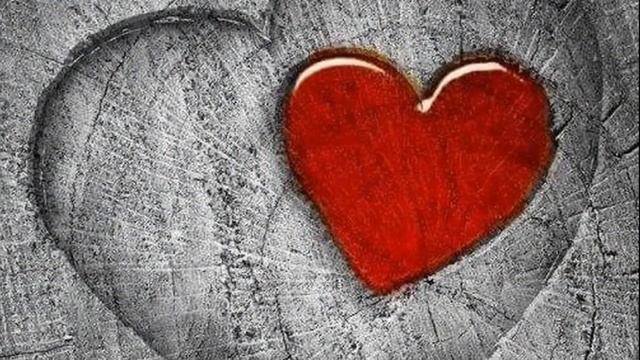 С Днём Свадьбы 20 лет вместе . Елена Ваймер смотреть онлайн