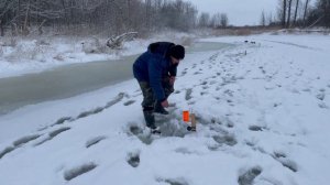 ТАКУЮ РЫБАЛКУ Я ЛЮБЛЮ!!! ЛОВИМ КРУПНУЮ ЩУКУ! Зимняя рыбалка на жерлицы на Волге. Лютый клев.