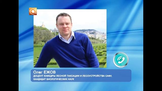 18.07.2017 Гусеницы атаковали черемуху смотреть онлайн