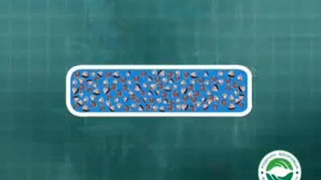 Продукты РОЗ в аудио и видео формате смотреть онлайн