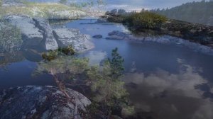 Летела гагара.  Когда душа замирает в восторге от красоты