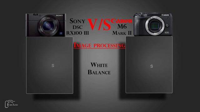 Sony DSC RX100 III vs Canon M6 Mark II смотреть онлайн