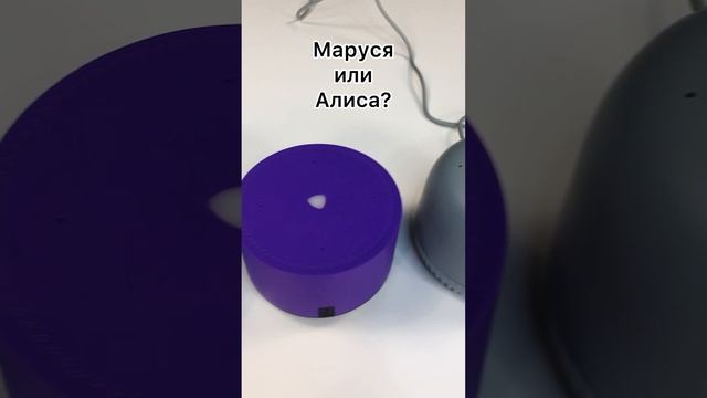 Алиса или Маруся? #яндексстанция #вккапсула #яндексстанциямини #vk #алиса #маруся