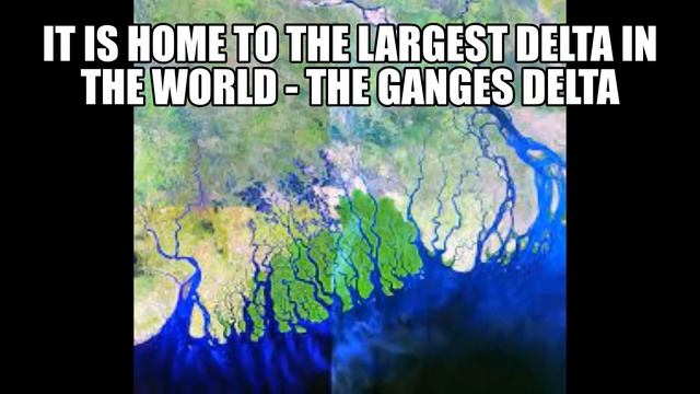 Interesting Facts About Asia - Part 1 #interestingfacts #asia #everythinginit #factstoknow смотреть онлайн