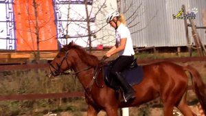 Кавалетти (cavaletti)