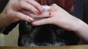 Прокол пальца