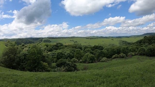 Грибное место Краснодарского края.