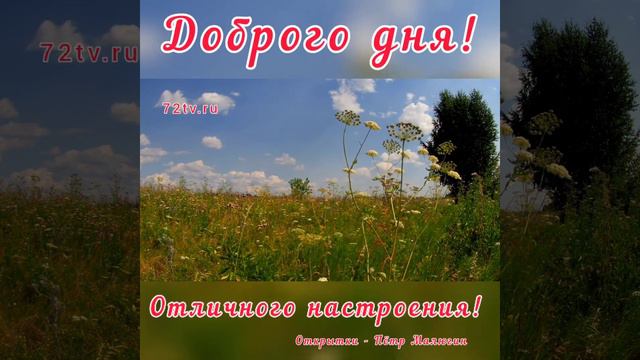 Доброго дня и отличного настроения! смотреть онлайн