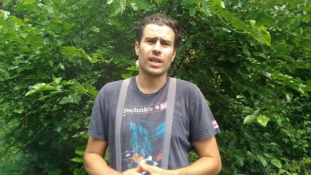 Ошибки пчеловода.пчелы плохо развиваются.не правельный вывод маток с свищовыщевых.Матка плохо сеет