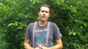 Ошибки пчеловода.пчелы плохо развиваются.не правельный вывод маток с свищовыщевых.Матка плохо сеет