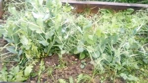 ДЕТСКОЕ. Яркий игровой детский домик из поддонов почти готов!