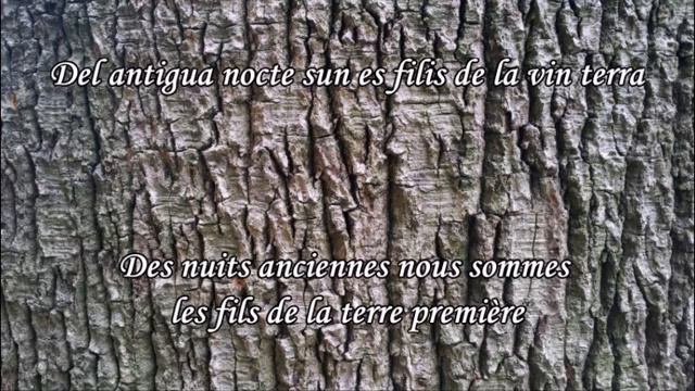 Luc ARBOGAST - Paroles de Sentinel смотреть онлайн